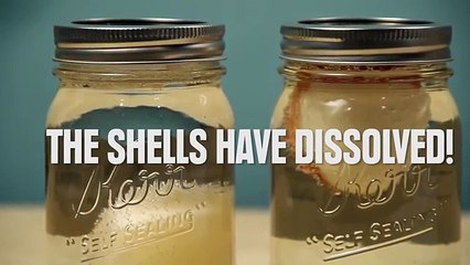 Super Cool Science Experiments You Can Do At Home