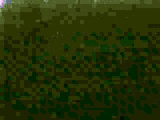 Cabin Morning time lapse