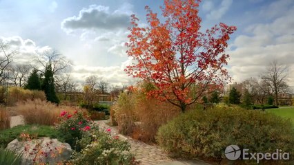 Chicago Vacation Travel Guide   Expedia