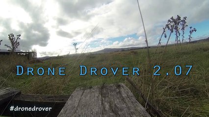 Koyun Sürüsünü Drone ile Yönlendiren Çoban