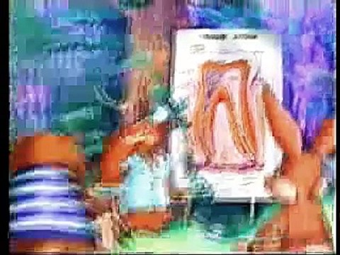 staroetv.su / Реклама и анонс сериала Агентство НЛС (РТР, декабрь 2001)