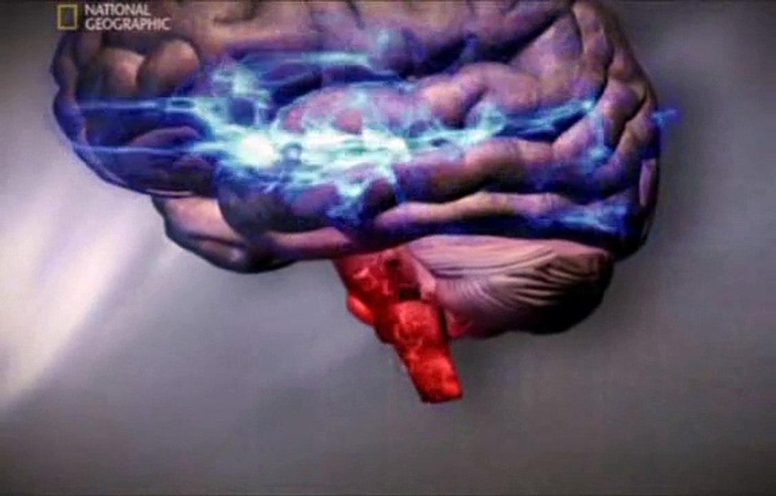 Wierzyc Nie Wierzyc Lunatycy Mordercy Dokument