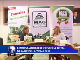 Empresa adquiere cosecha total de maíz de la Zona Sur