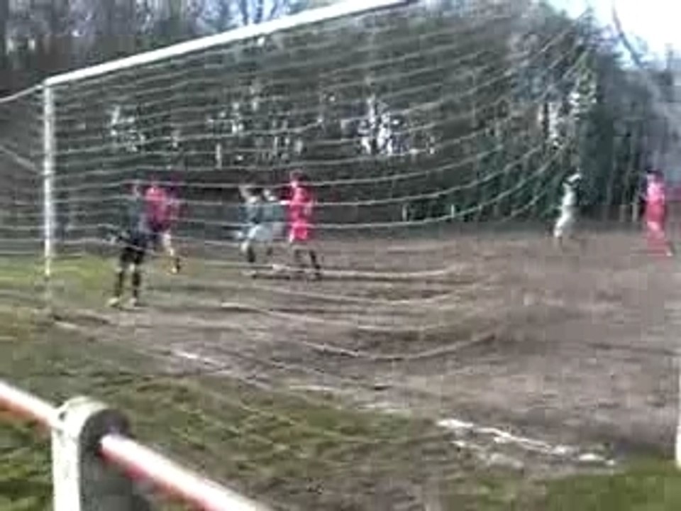 linkhout 3