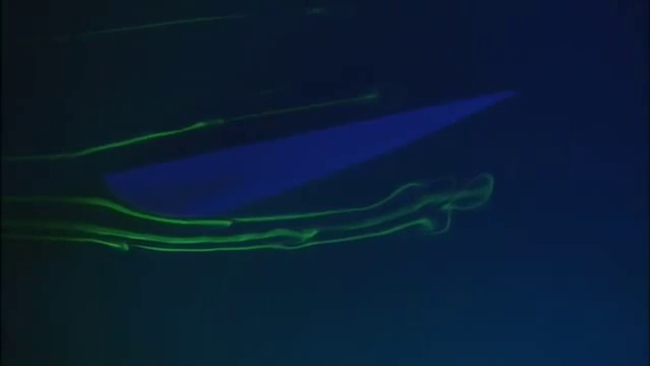 The Physics of Sailing