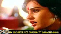 Har Ek Jeevan Hai Ek Kahani-Lata Mangeshkar  HD スパイスハラルフード　岩倉市ジャパンjapan halal food spice