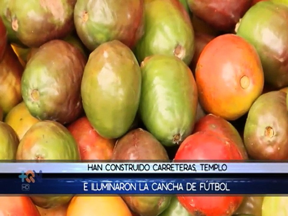 Éxito con sabor a jocote