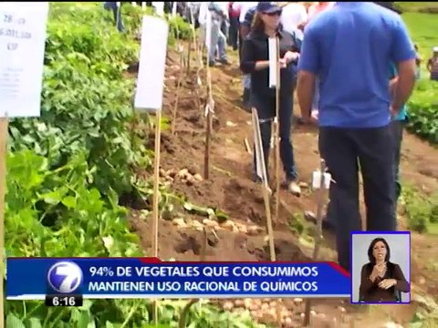 Vegetales que se consumen en el país mantienen uso racional de agroquímicos