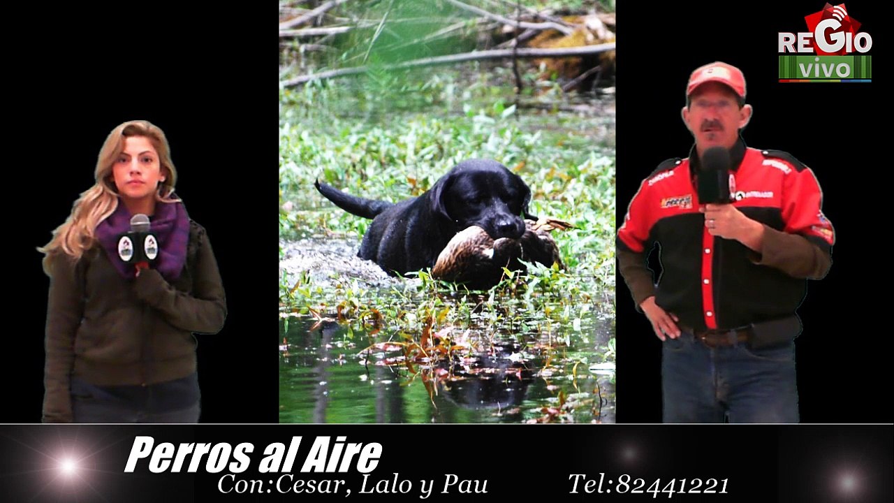 EL BEAGLE | PAA
