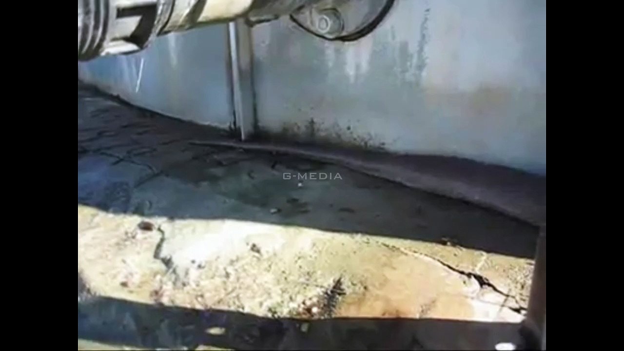 Snake Attack Caught Live