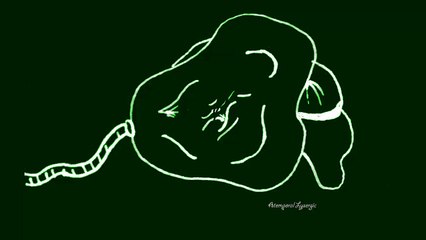 Discover 'The Hallucinogen Experiment' — A Unique Musical Journey 🎶