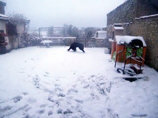 iska et la neige le 24 janvier 2015 017