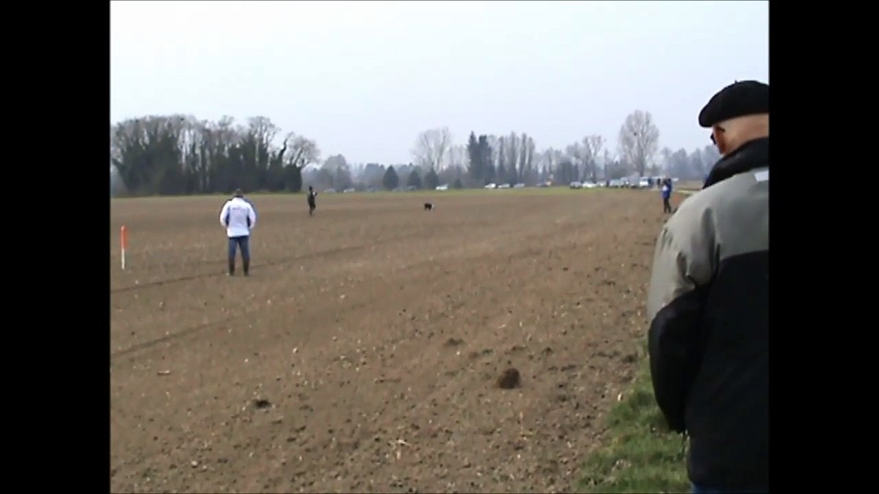 Championnat de France pistage Français, piste au trait.
