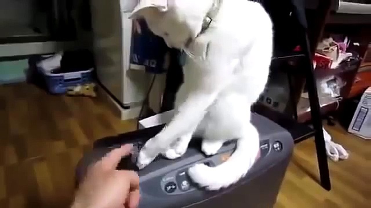 НЕ БЕСИ пусть будет закрыто!!