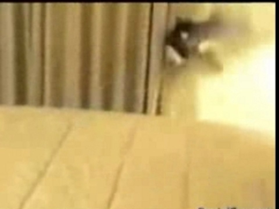 Les Meilleurs Gags !