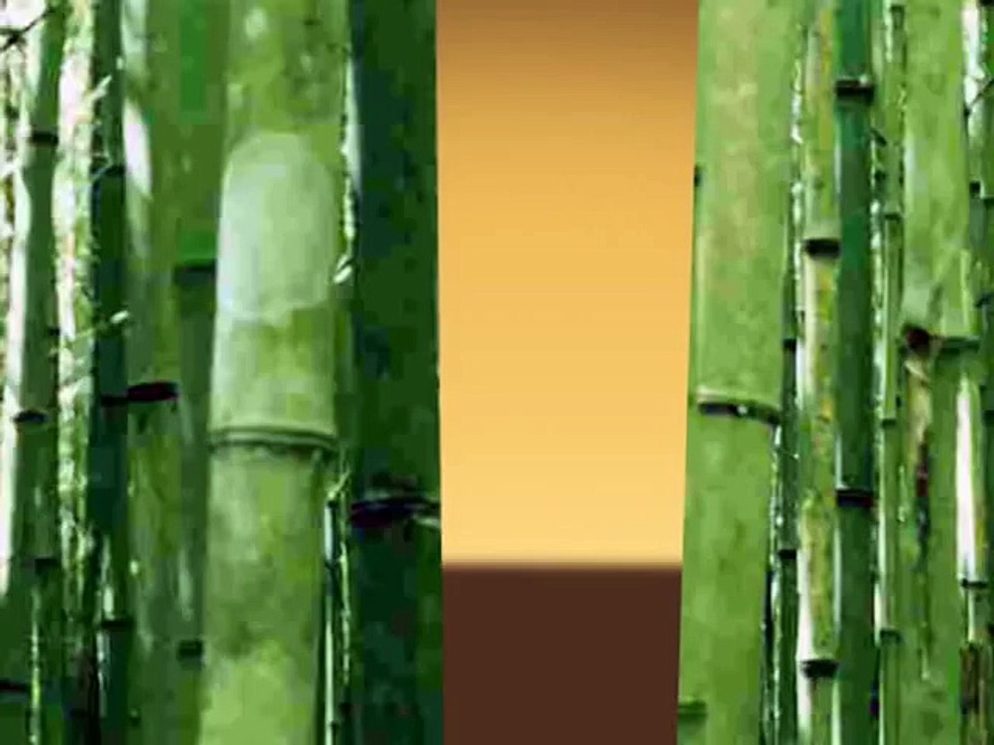 ⁣Bambu hikayesi Lilyum Ekibi 0533 685 57 33