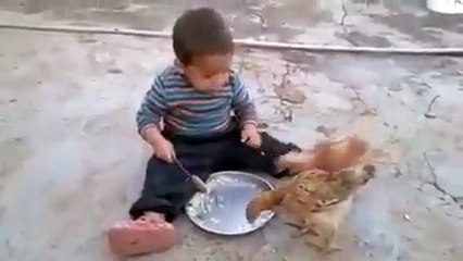 Yemeğini Tavuklara Kaptıran Çocuk