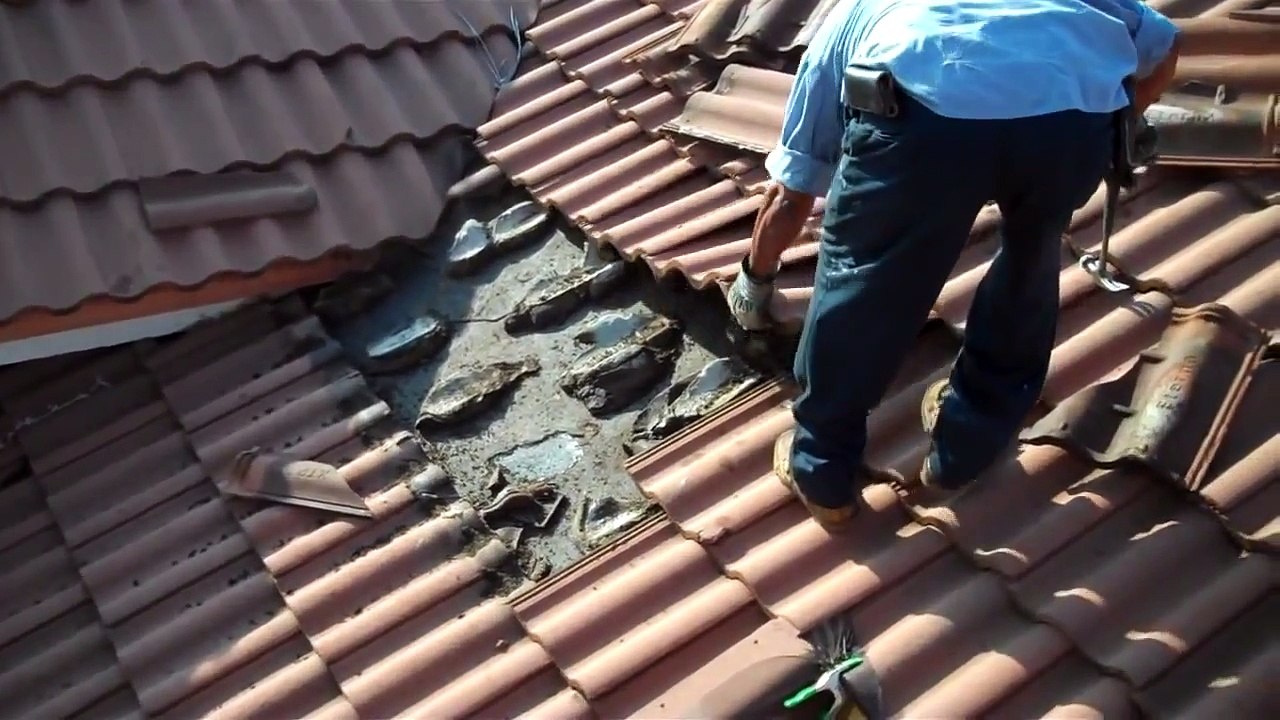 Ces Hommes ont découvert un nid géant de chauve souris sous une toiture à Miami