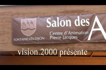 Salon des Artistes FONTAINE LES DIJON 2015