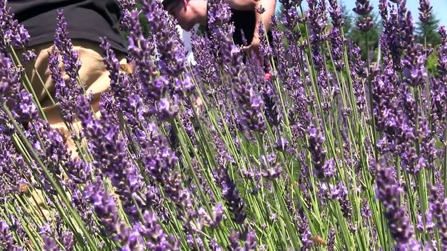 Behind The Tanlines Lily Aldridge, Chrissy Teigen & More Sports Illustrated Swimsuit 2015