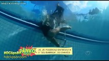 Brazilian Girl dropped from excavator into a pool (part 5)