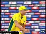Australia wins ICC Cricket World Cup for fifth time - Video Dailymotion