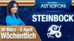 Monatliches Horoskop zum Sternzeichen Steinbock (30 März-5 April 2015)