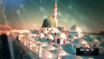 Sarkar Nazar Karden Hafiz Tahir Qadri Ramzan Album 2014 HD Video