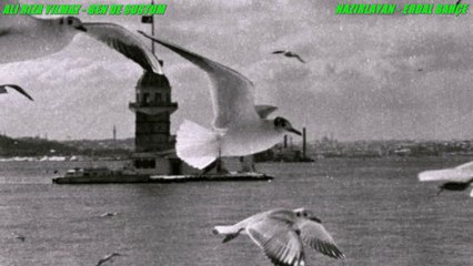 ALİ RIZA YILMAZ-BEN DE SUSTUM