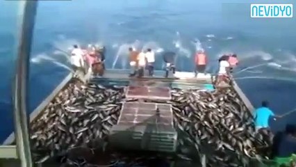 Böyle balık tutma görmediniz!