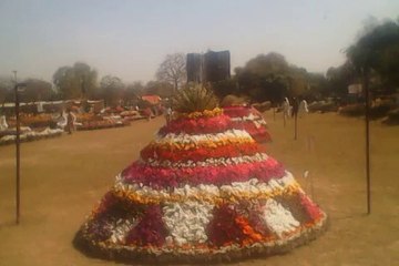 Annual Spring Flowers Exhibition 2015