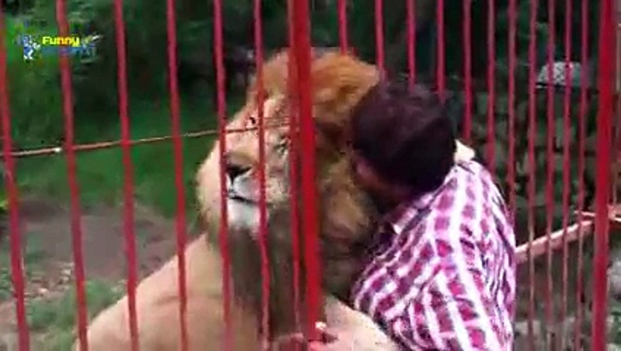 Cute Animal Videos