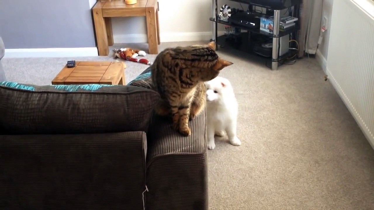 Making Friends