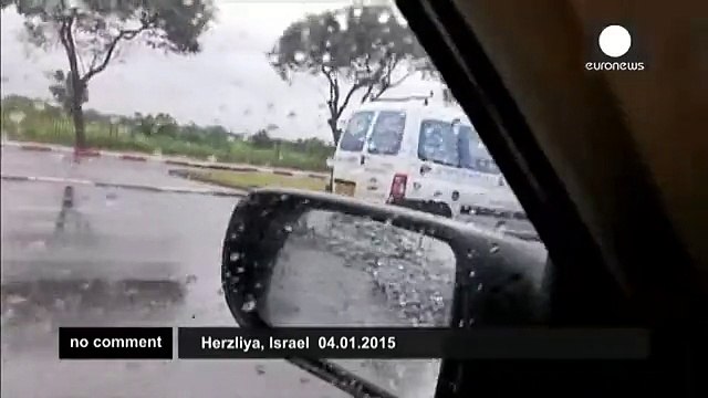 Esacaped emu turns heads on Israeli highway - no comment