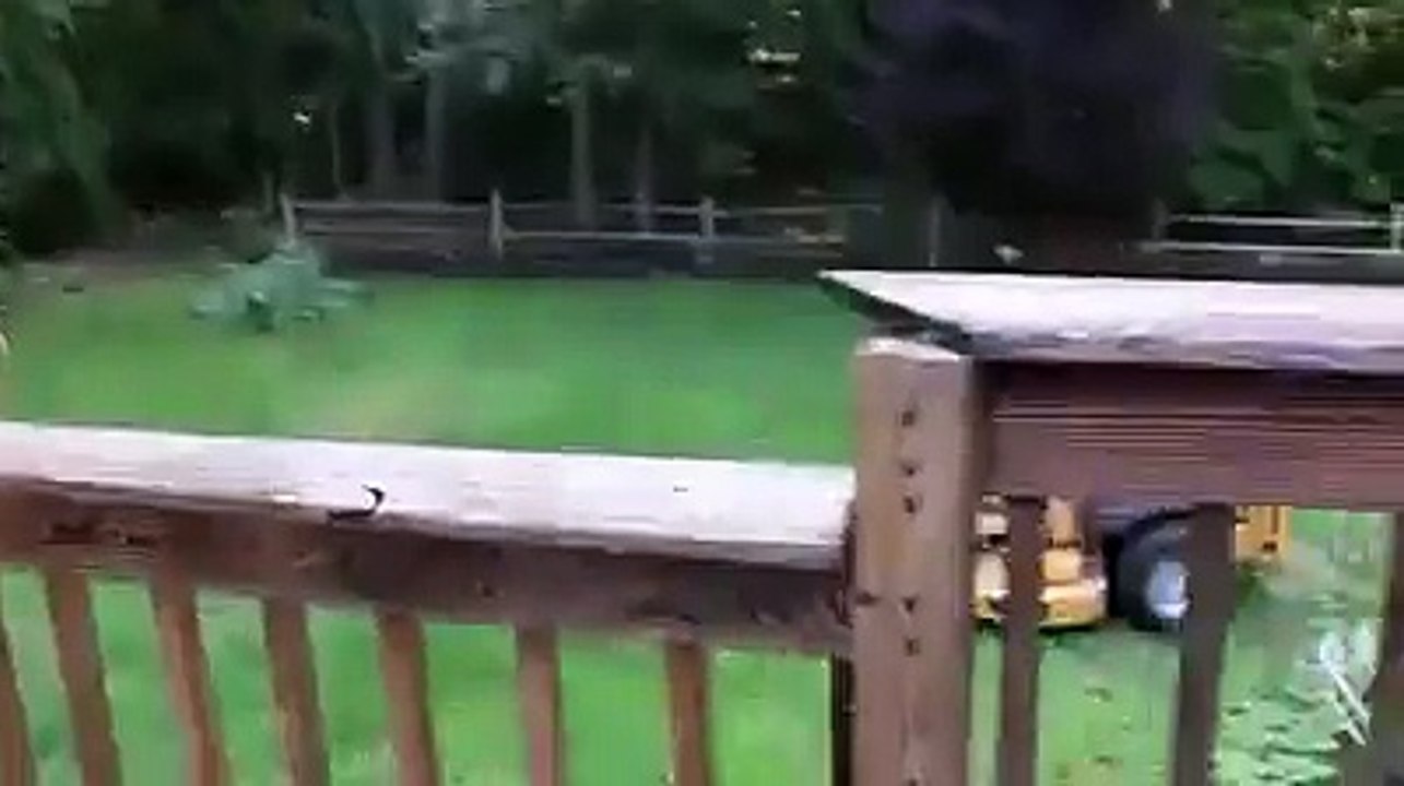 please do not act like that.