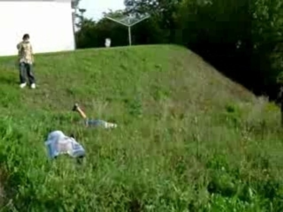 Jackass by oli