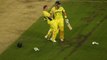 Australia celebrations - Australia vs New Zealand Highlights Final ICC Cricket World Cup 2015