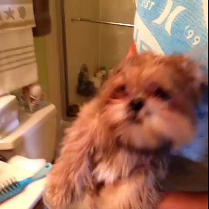 reaction of little cute digi.