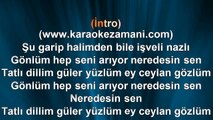 Atilla Yılmaz - Neredesin Sen - 2013 TÜRKÇE KARAOKE