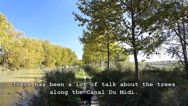 location de vélos Canal Du Midi randonnee