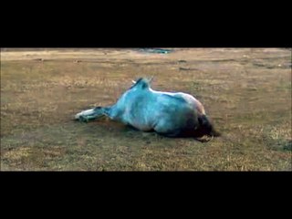 SARKİS SEROPYAN "GELECEK UZUN SÜRER" FİLMİNDE ANTO DAYI' ROLÜNDE...