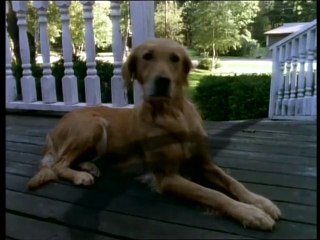 Pesadillas - La Novia del Muñeco Viviente