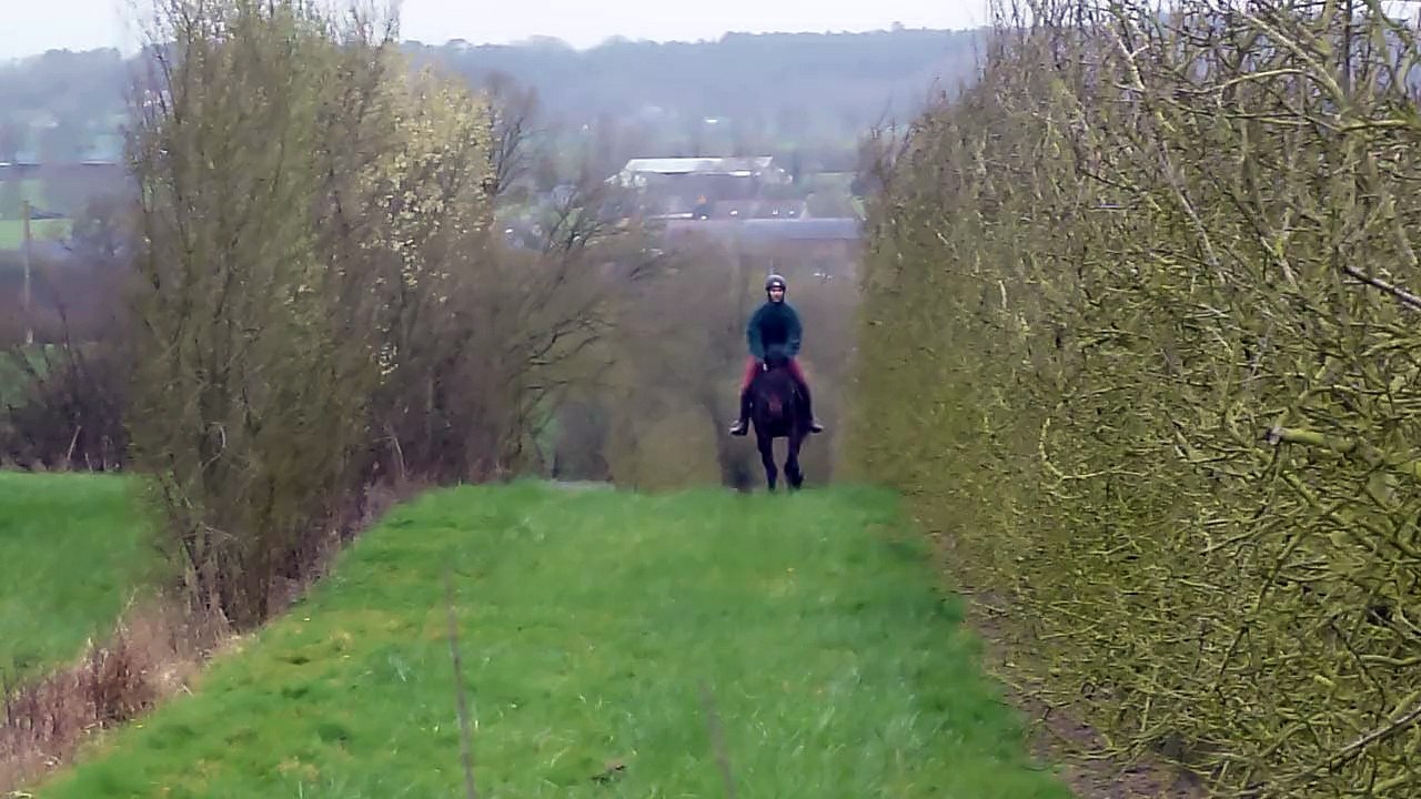Rixxos-Petit galop