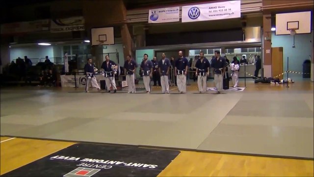 Nuit des arts martiaux 2015 Yoseikan Budo