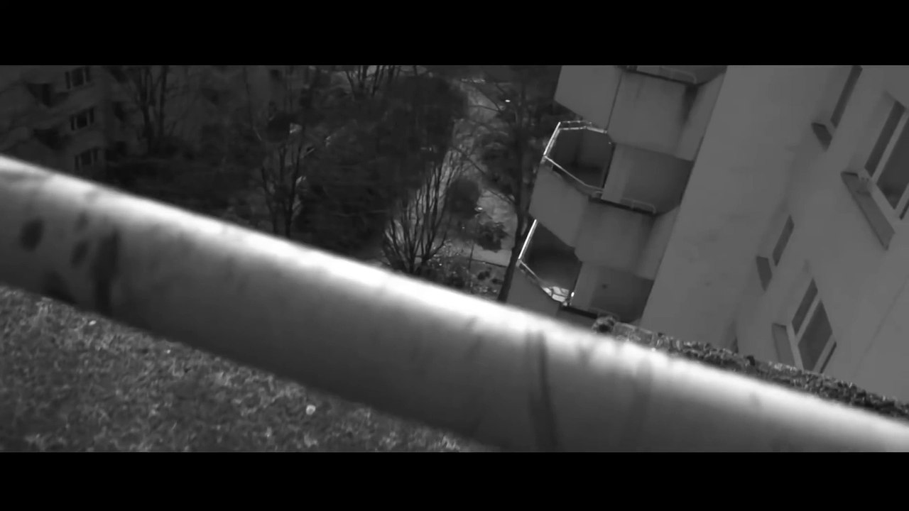 SWISS & DIE ANDERN - GROSSE FREIHEIT (offizielles Video)