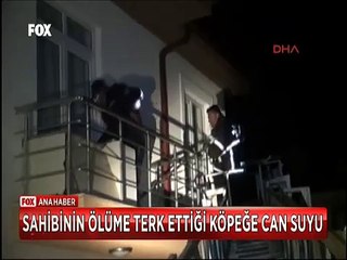 Sahibinin 3 gündür evde ölüme terk ettiği köpeğe itfaiyeciler can suyu verdi