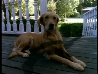 Pesadillas - El Maullido del Gato - Parte 1