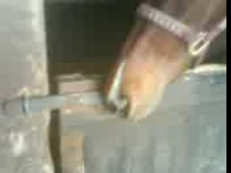 MOV00305