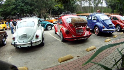 Grande Encontro de Carros Antigos de Paraibuna, SP, Brasil, Marcelo Ambrogi, Amigos, Fazenda, 29 de março de 2015, (40)