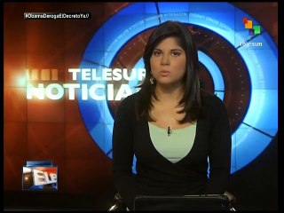 Panamá: pueblo originario denuncia tala ilegal de árbol del cocobolo